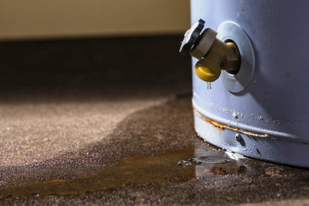 Best Water damage contractors near me  in Mundys Corner, PA
