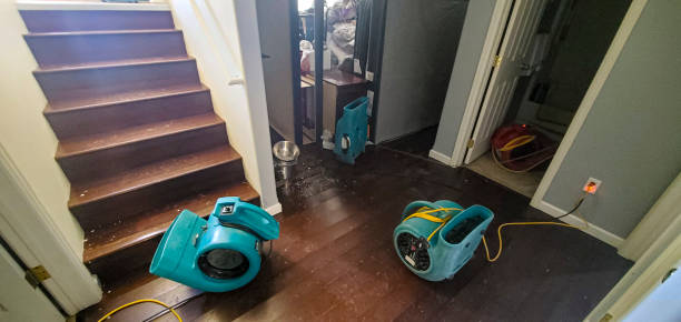 Best Water damage restoration mold remediation  in Mundys Corner, PA