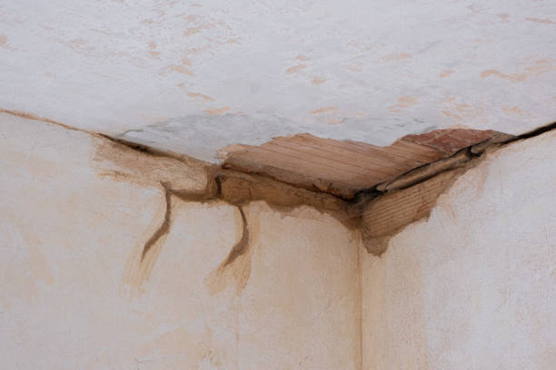 Best 24/7 water damage repair  in Mundys Corner, PA
