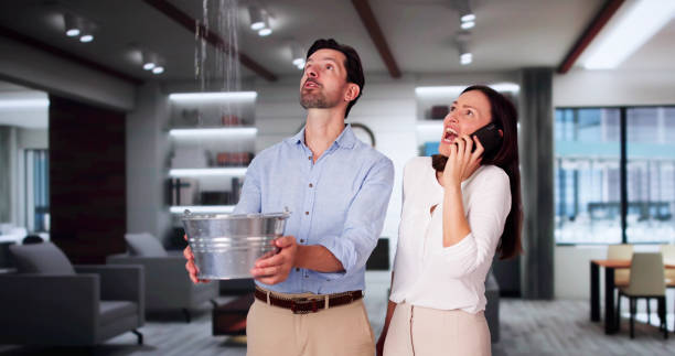 Best Ceiling water damage repair  in Mundys Corner, PA